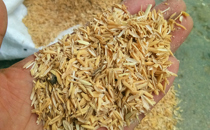 稻殼從無人問津到身價百倍的自述 稻殼從無人問津到身價百倍的自述